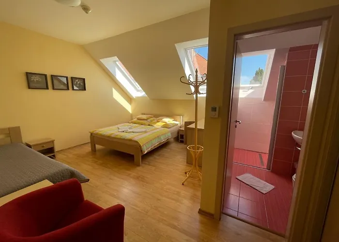 U Bohusa Pensionat 3*
